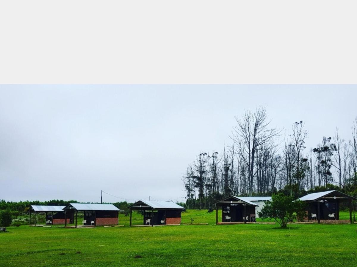 Cadeau Hiking And Accommodation Witelsbos Luaran gambar
