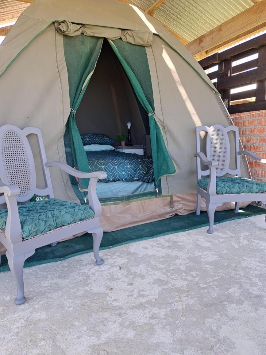 Cadeau Hiking And Accommodation Witelsbos Luaran gambar